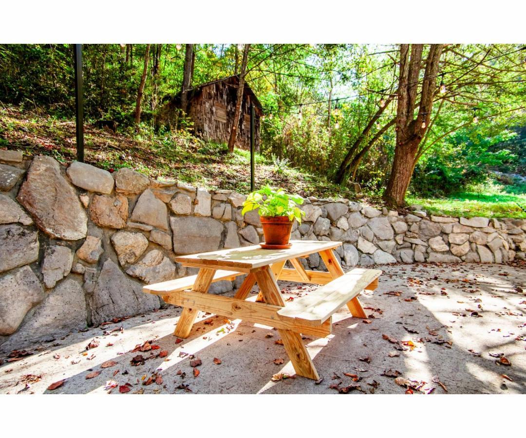 Beary Relaxing Cabin - Rustic With Outdoor Patio Townsend Zewnętrze zdjęcie