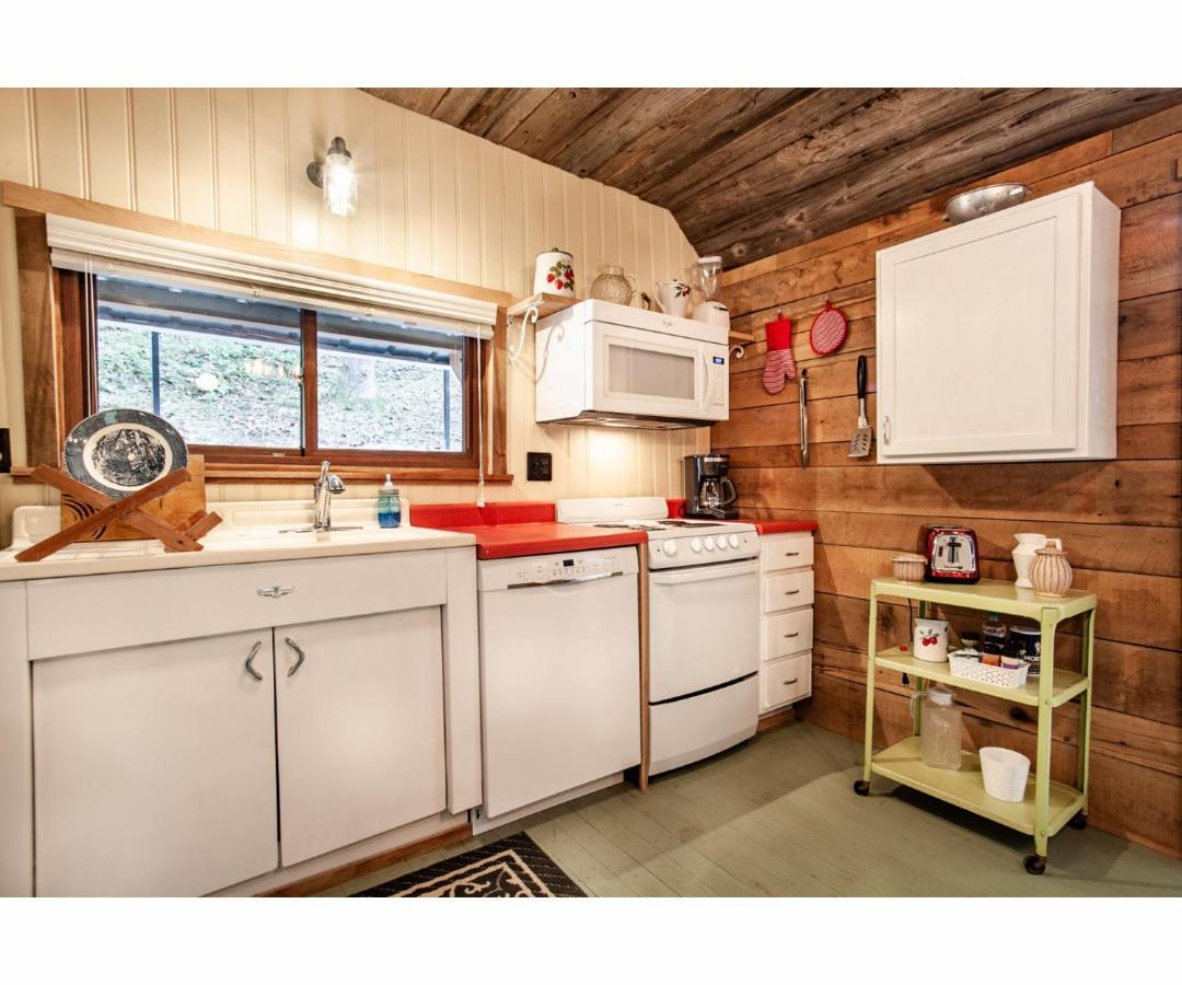 Beary Relaxing Cabin - Rustic With Outdoor Patio Townsend Zewnętrze zdjęcie