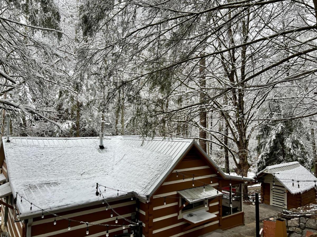 Beary Relaxing Cabin - Rustic With Outdoor Patio Townsend Zewnętrze zdjęcie